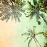 Natur Fotografie von Palmen im Vintage Look. Fotokunst und Bilder online kaufen. Wandbild hinter Acrylglas oder als Poster