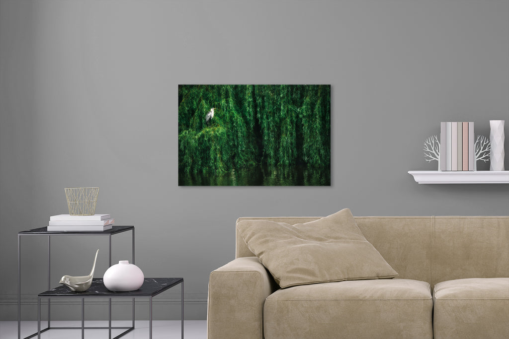 Aufgehängte Tier Natur Fotografie von einem Storch in einer großen Weide mit Wasser. Fotokunst und Bilder online kaufen. Wandbild hinter Acrylglas oder als Poster