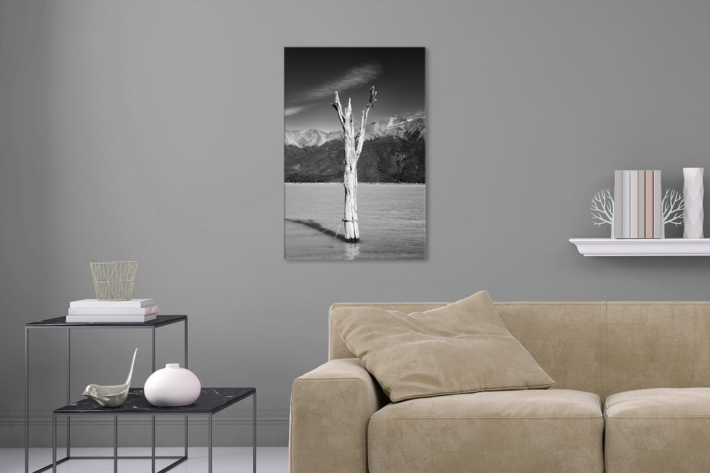 Aufgehängte Schwarz-Weiß Natur Fotografie von einem abgestorbenen Baum im See. Fotokunst und Bilder online kaufen. Wandbild hinter Acrylglas oder als Poster