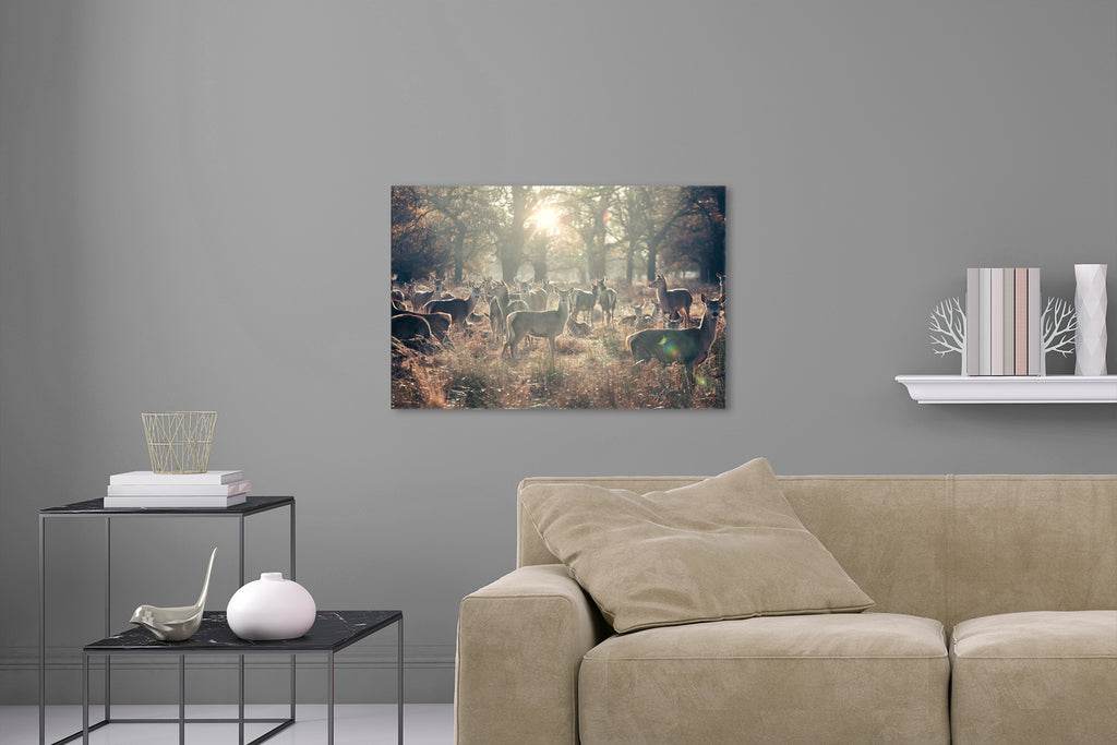 Aufgehängte Tier Natur Fotografie von einer Herde Rehe auf einer Wiese mit Bäumen. Fotokunst und Bilder online kaufen. Wandbild hinter Acrylglas oder als Poster