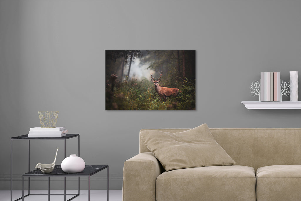 Aufgehängte Tier Natur Fotografie von einem Hirsch mit Geweih im Wald. Fotokunst und Bilder online kaufen. Wandbild hinter Acrylglas oder als Poster