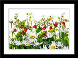 Natur Blumen Fotografie von Kamillen Blüten und wilden Erdbeeren. Fotokunst und Bilder online kaufen. Wandbild im Rahmen