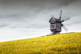 Natur Fotografie von einer alten Holz Windmühle auf einem Hügel im Querformat. Fotokunst und Bilder online kaufen. Wandbild hinter Acrylglas oder als Poster