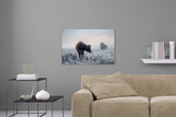 Aufgehängte Tier Fotografie von einer Kuh im Winter auf einem gefrorenen Feld. Fotokunst und Bilder online kaufen. Wandbild hinter Acrylglas oder als Poster