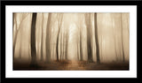 Natur Landschafts Fotografie von einem nebligen Wald im Herbst im Panorama Format. Fotokunst und Bilder online kaufen. Wandbild im Rahmen