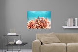 Aufgehängte Unterwasser Tier Fotografie von Fischen und Korallen. Fotokunst und Bilder online kaufen. Wandbild hinter Acrylglas oder als Poster