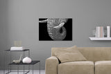 Aufgehängte Schwarz-Weiß Tier Fotografie von einem Elefanten Rüssel mit Stoßzähnen vor schwarzem Hintergrund. Fotokunst und Bilder online kaufen. Wandbild hinter Acrylglas oder als Poster