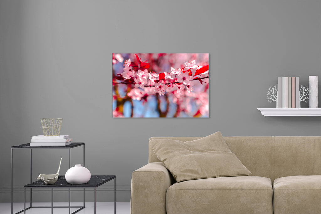 Aufgehängte Natur Fotografie von rot weißen Blüten an einem Baum. Fotokunst und Bilder online kaufen. Wandbild hinter Acrylglas oder als Poster